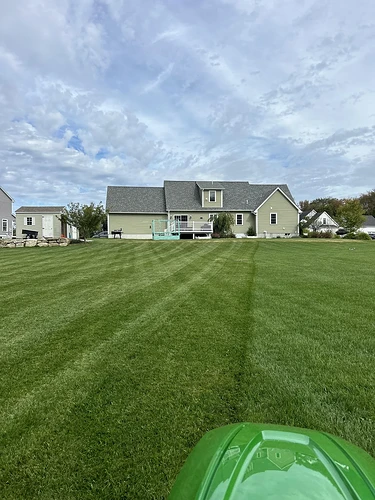 big lawn